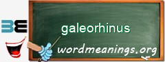 WordMeaning blackboard for galeorhinus